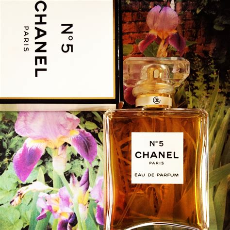 perfume chanel n 5 notas